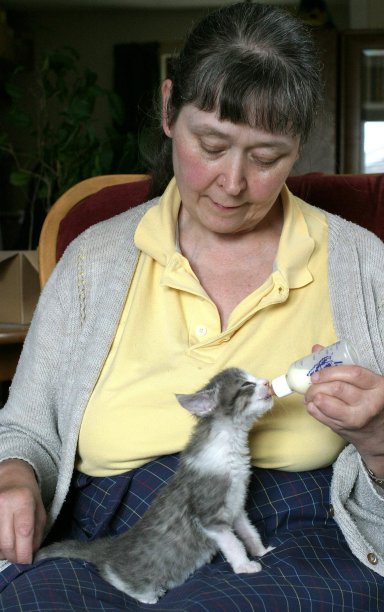 Little Tam and his foster-mum