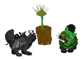 three special pets!