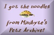 Minibyte's noodles from Minibyte's site!